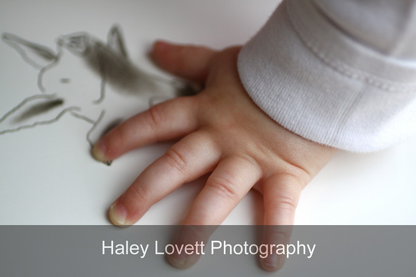 baby hand photo portland oregon