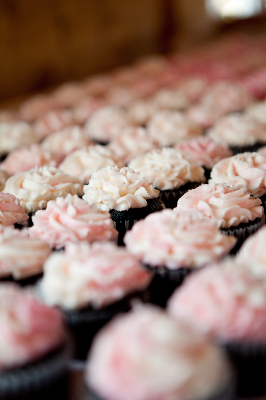 pink_and_white_frosted_chocolate_cupcakes
